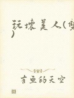 玩坏美人(双性)