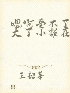 嗯啊受不了了太大了小说在线阅读