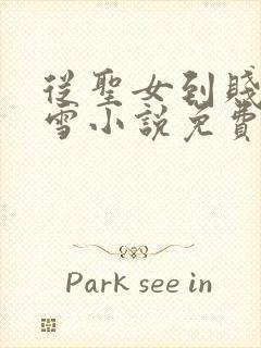 从圣女到贱奴兰雪小说免费阅读全文封面