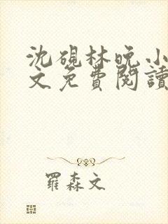 沈砚林晚小说全文免费阅读