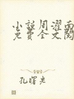 小说周濯南景棠免费全文阅读封面