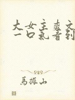 大女主爽文小说一口气看到结局封面