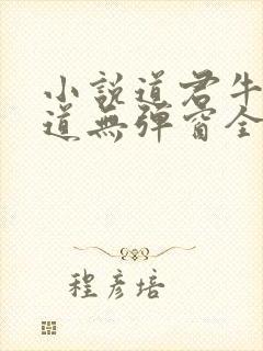 小说道君牛有_道无弹窗全文免费阅读