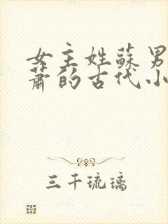 女主姓苏男主姓萧的古代小说