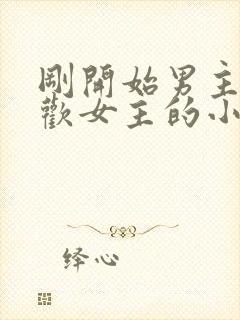 刚开始男主不喜欢女主的小说