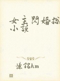 女主闪婚总裁的小说