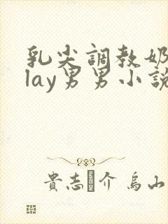 乳尖调教奶头play男男小说封面
