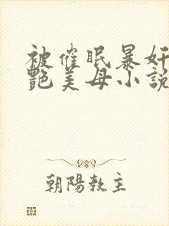 被催眠暴奸的冷艳美母小说