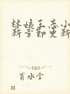 林姨王志小说最新章节更新免费阅读