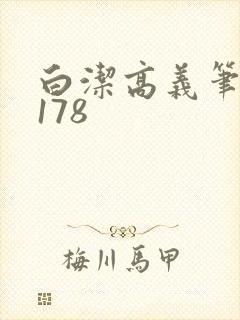 白洁高义笔趣阁178封面
