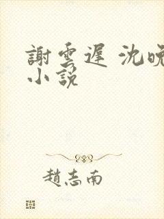 谢云迟 沈晚梨小说封面