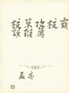 校草攻校霸受小说推荐封面