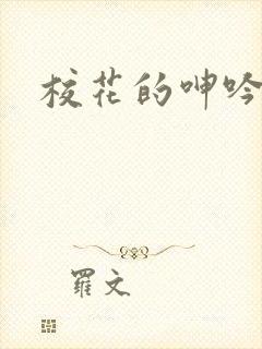 校花的呻吟小说