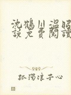 沈鹤川温昭宁小说免费阅读最新章节