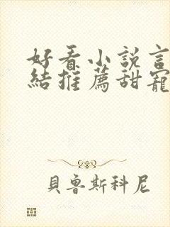 好看小说言情完结推荐甜宠文封面