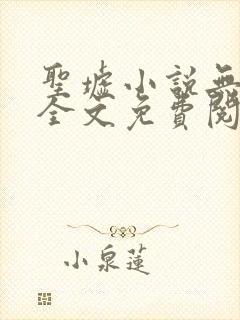 圣墟小说无弹窗全文免费阅读封面