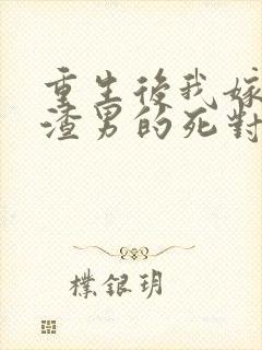 重生后我嫁给了渣男的死对头253