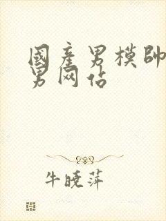 国产男模帅哥男男网站