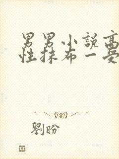 男男小说高h双性抹布一受多攻