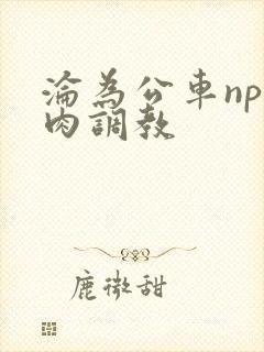 沦为公车np纯肉调教