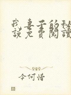 我妻子的秘密小说免费阅读