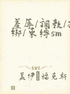 羞辱/调教/捆绑/束缚sm