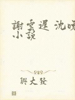 谢云迟 沈晚梨小说