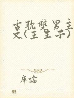 古耽双男主生子文(主生子)