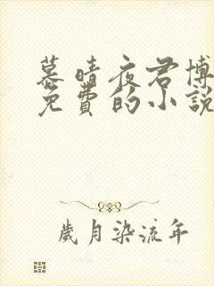 慕晴夜君博全文免费的小说无弹幕