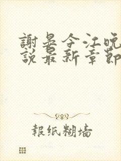 谢晏今江晚音小说最新章节更新封面