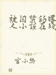 被囚禁的眼盲美人小说在线阅读封面