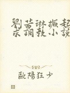 刘若琳撅起屁股求调教小说