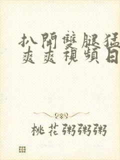 扒开双腿猛进入爽爽视频日日