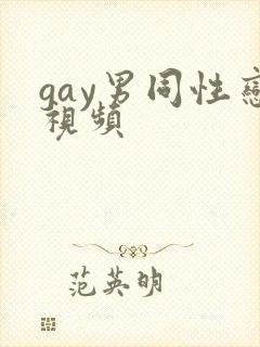 gay男同性恋视频封面