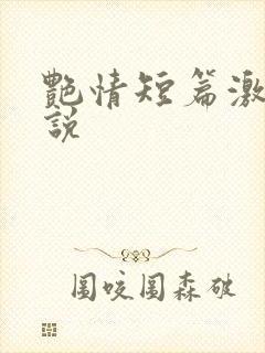 艳情短篇激情小说封面