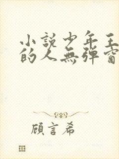 小说少年王抚琴的人无弹窗无广告