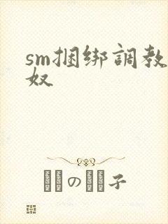 sm捆绑调教男奴