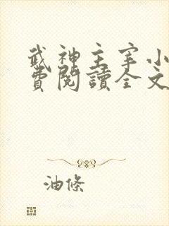 武神主宰小说免费阅读全文无弹窗