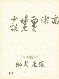 少妇白洁高义小说免费封面