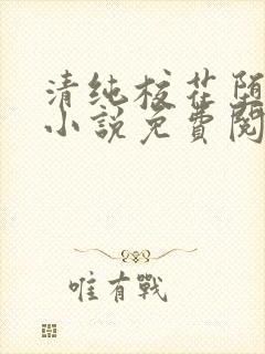 清纯校花堕落记小说免费阅读allimine