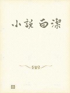 小说 白洁