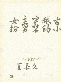 女主穿越古代女扮男装的小说