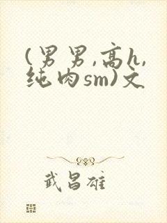 (男男,高h,纯肉sm)文