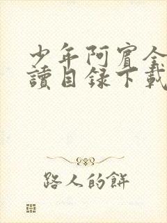 少年阿宾全文阅读目录下载