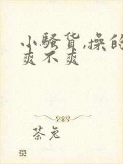 小骚货,操的你爽不爽封面