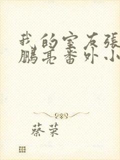 我的室友张健石鹏亮番外小说