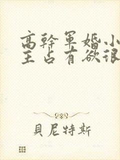 高干军婚小说男主占有欲很强