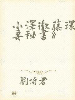 小泽彻藤环奈人妻秘书》封面