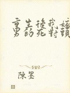 重生后我嫁给渣男的死对头短剧