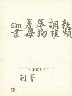 sm羞辱调教奴隶母狗视频